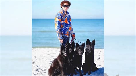 where is the dog daddy located